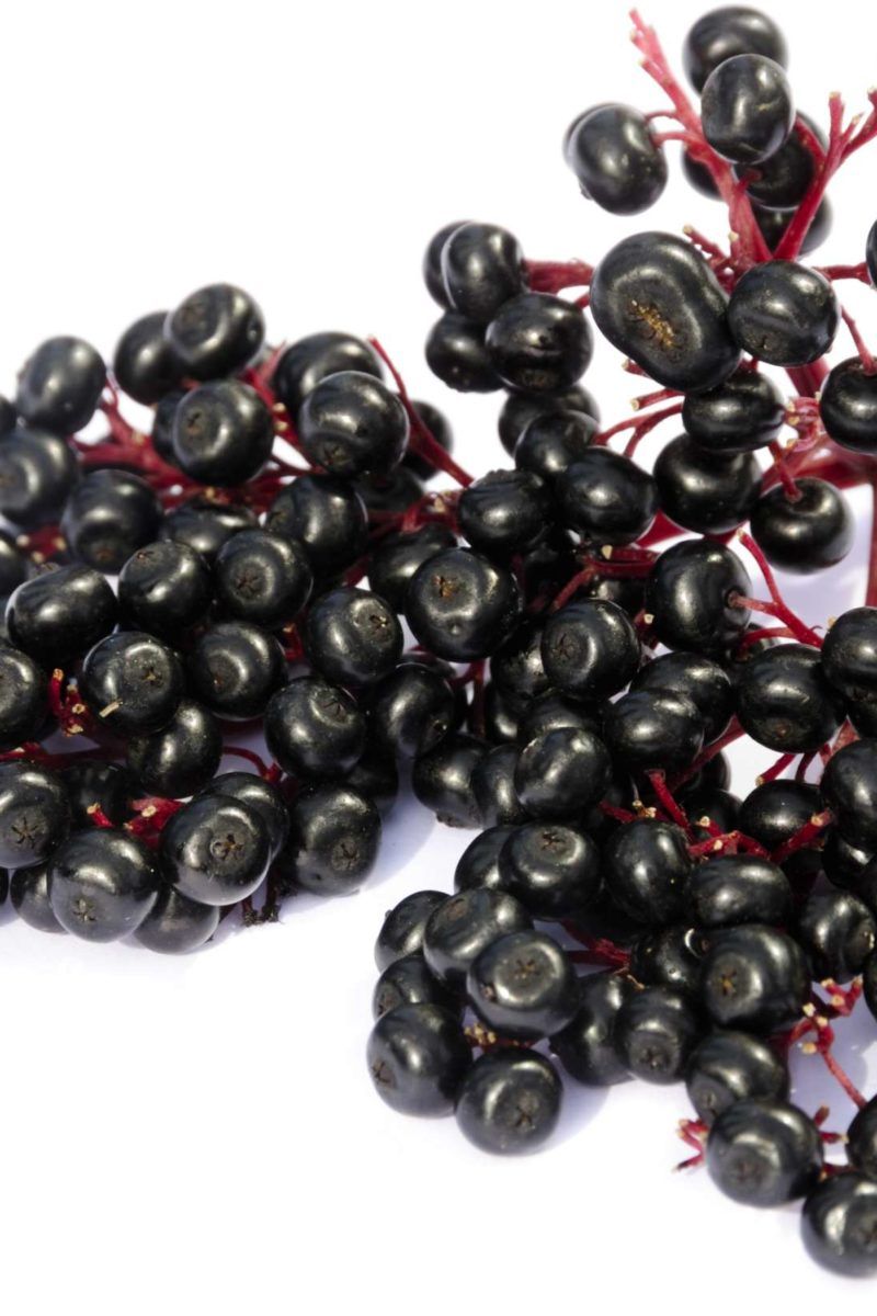 Elderberry Health Benefits Uses And Risks