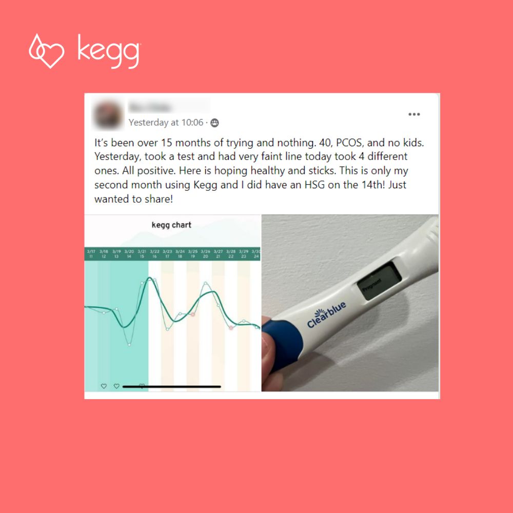 kegg Fertility Tracker & Kegel Ball