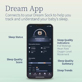 DISCOwlet® Dream Sock Plus - Mint Green