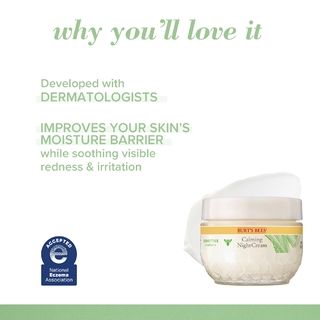 Burt's Bees® Sensitive Solutions Calming Night Cream with Aloe & Rice Milk - 1.8 fl oz