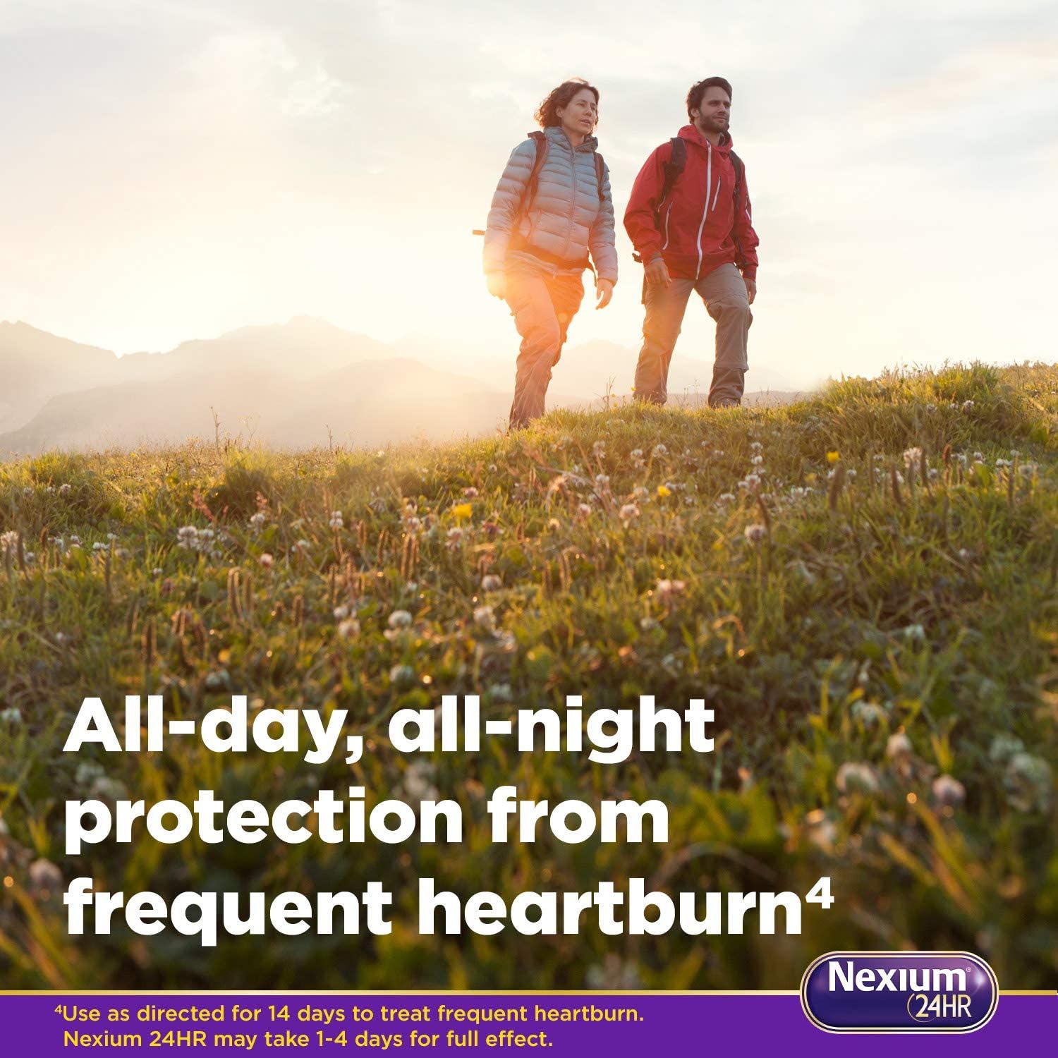 Nexium 24HR Delayed Release Heartburn Relief Capsules - 42 ct