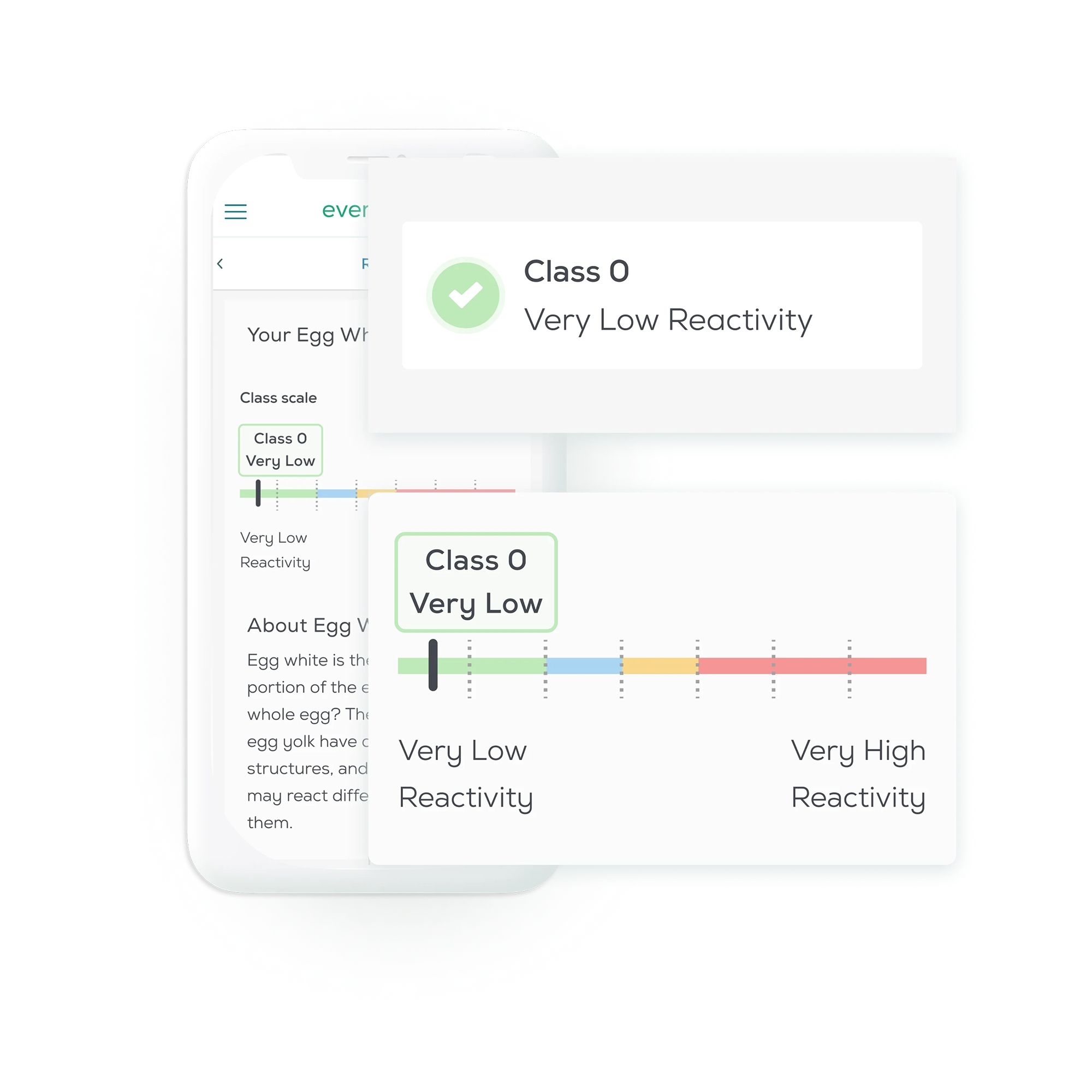 Everlywell Food Allergy Test - 1 Test Kit