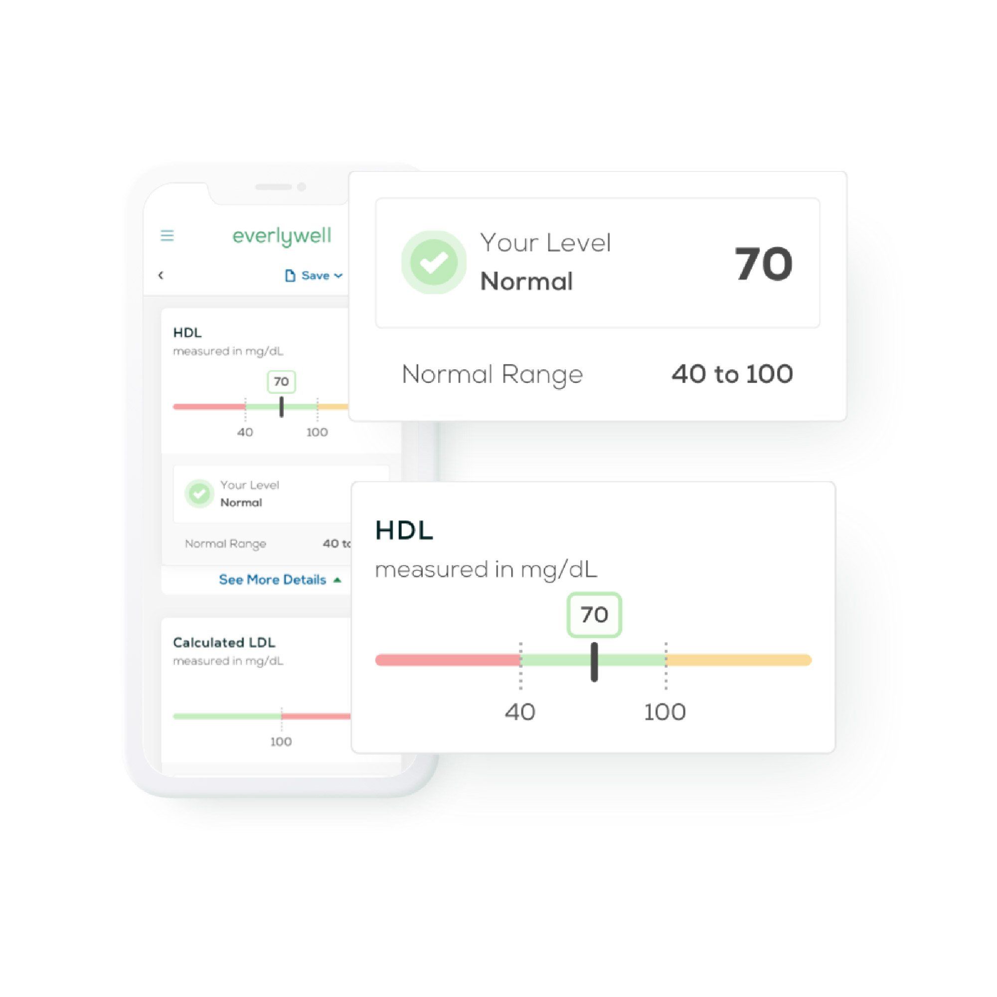 Everlywell Cholesterol & Lipids Test - 1 Test Kit