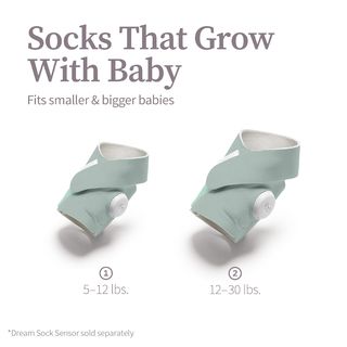 Owlet® Accessory Sock - Sleepy Sage