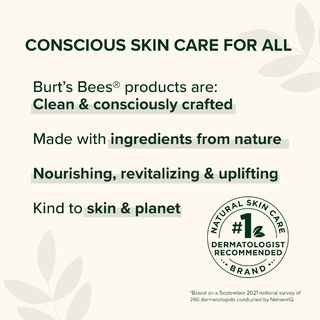 Burt’s Bees® Renewal Firming Moisturizing Cream with Bakuchiol Natural Retinol Alternative - 1.8 oz