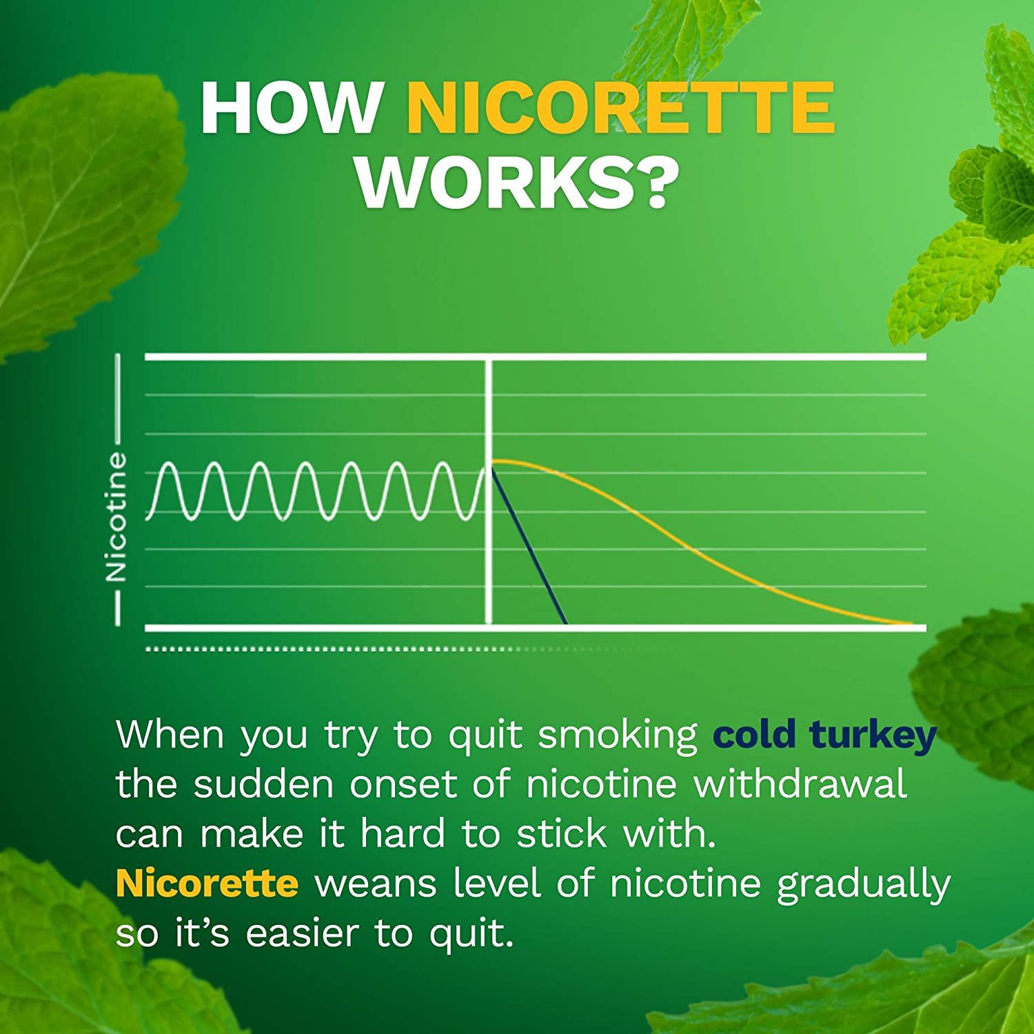 Nicorette Mini Lozenge to Stop Smoking, 4 mg, Mint Flavor - 81 ct