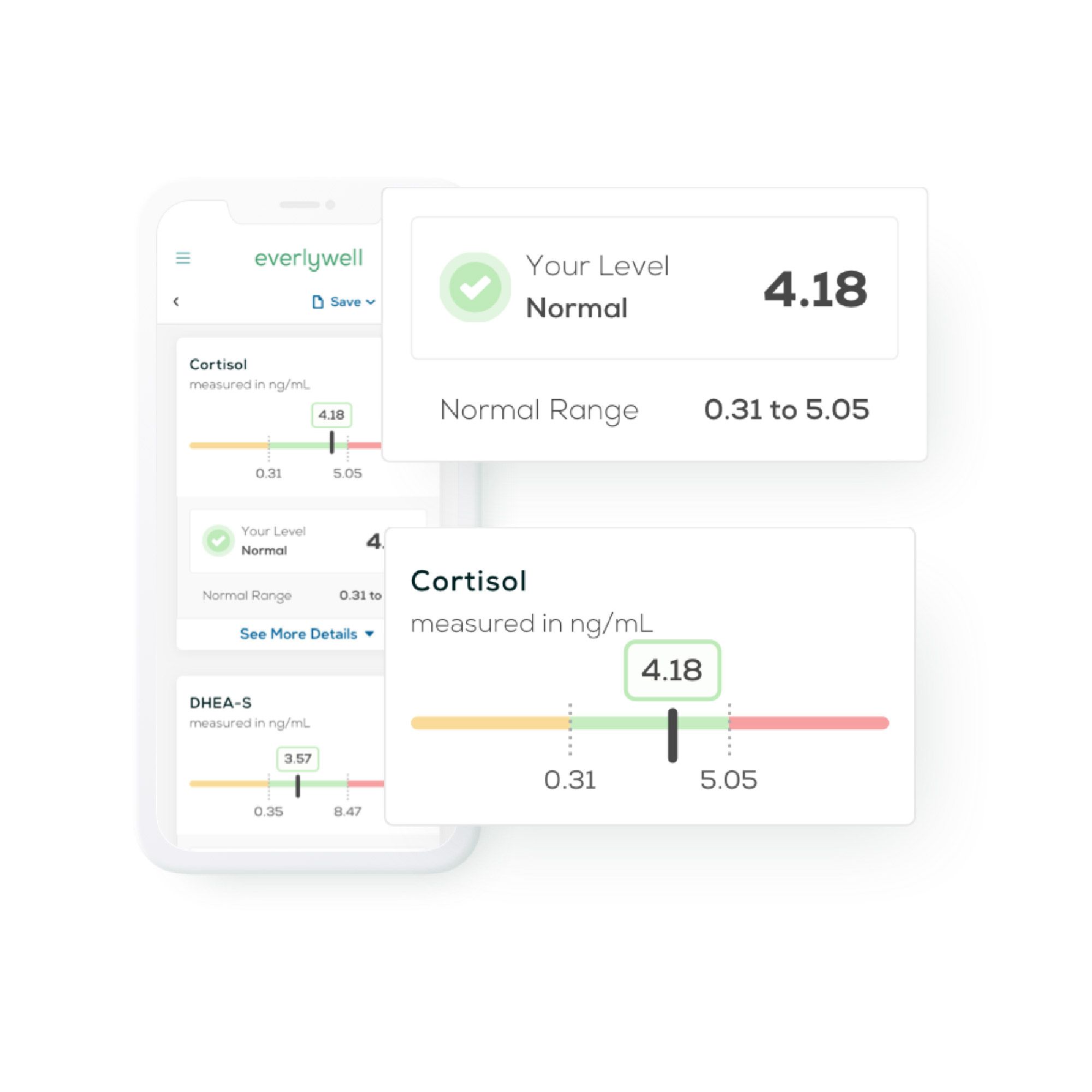 Everlywell Men's Health Test