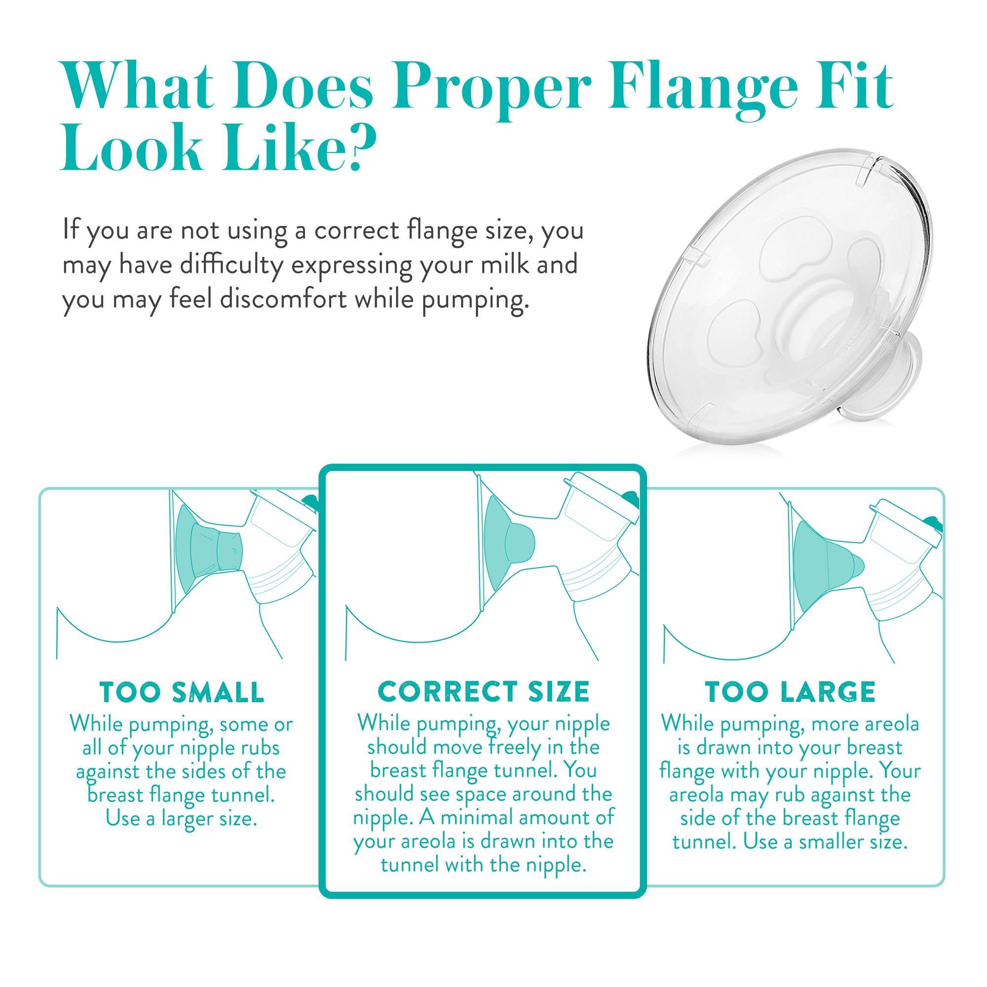 Evenflo Breast Pump Replacement Membranes & Valves - 2 ct | Optum Now