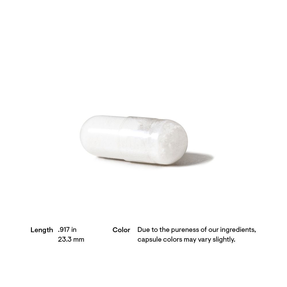 Thorne Acetyl-L-Carnitine (formerly Carnityl) - 60 ct | Optum Now