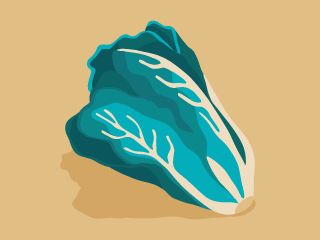Romaine 