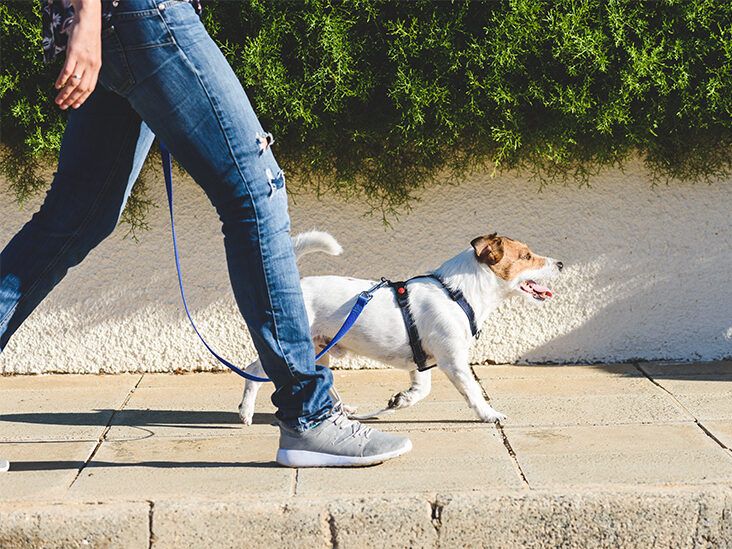 https://media.post.rvohealth.io/wp-content/uploads/2018/08/woman-walking-dog-732x549-thumbnail-732x549.jpg