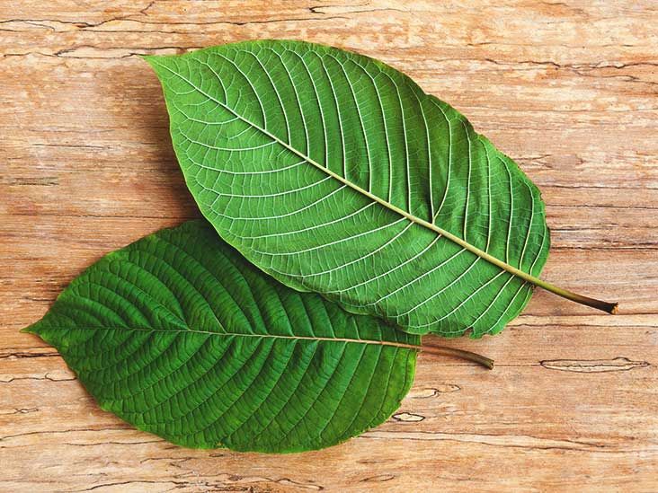 Buy Natural White Vein Kratom Powder Online 