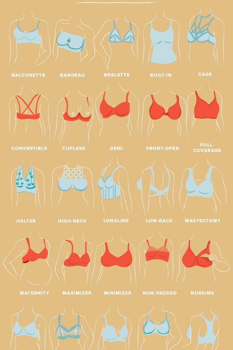 Types of Bra & Bra Style Guide