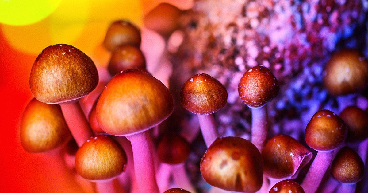 Magic Mushroom healing