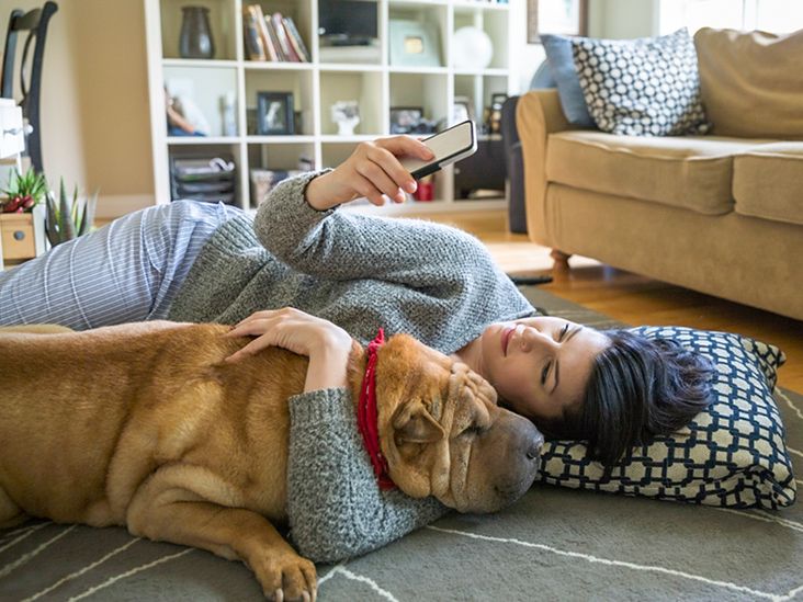 https://media.post.rvohealth.io/wp-content/uploads/2019/07/Woman-cuddling-dog-and-using-cell-phone-floor-732x549-thumbnail.jpg