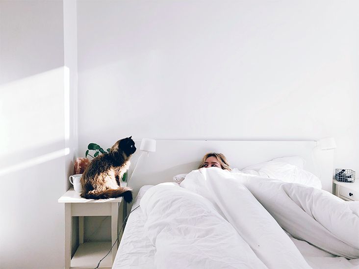 The 8 Best Weighted Blankets for Dogs (and Their People)