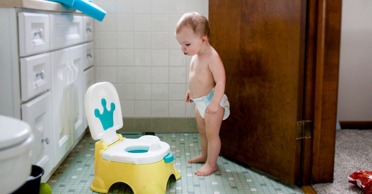 Potty Training Products and MustHaves Seats Targets and More