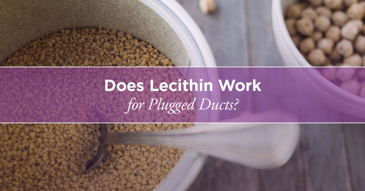 How Does Lecithin Work as an Emulsifier?