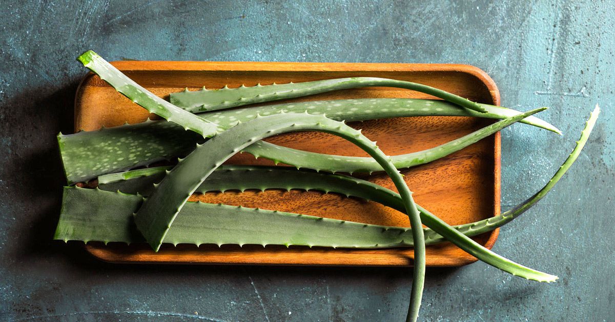 Easy Homemade Aloe Vera Gel Recipe for Skin and Hair Care