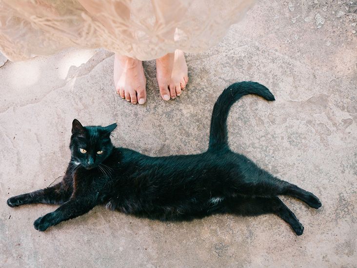 Superstitions What They Mean for Your Mental Health