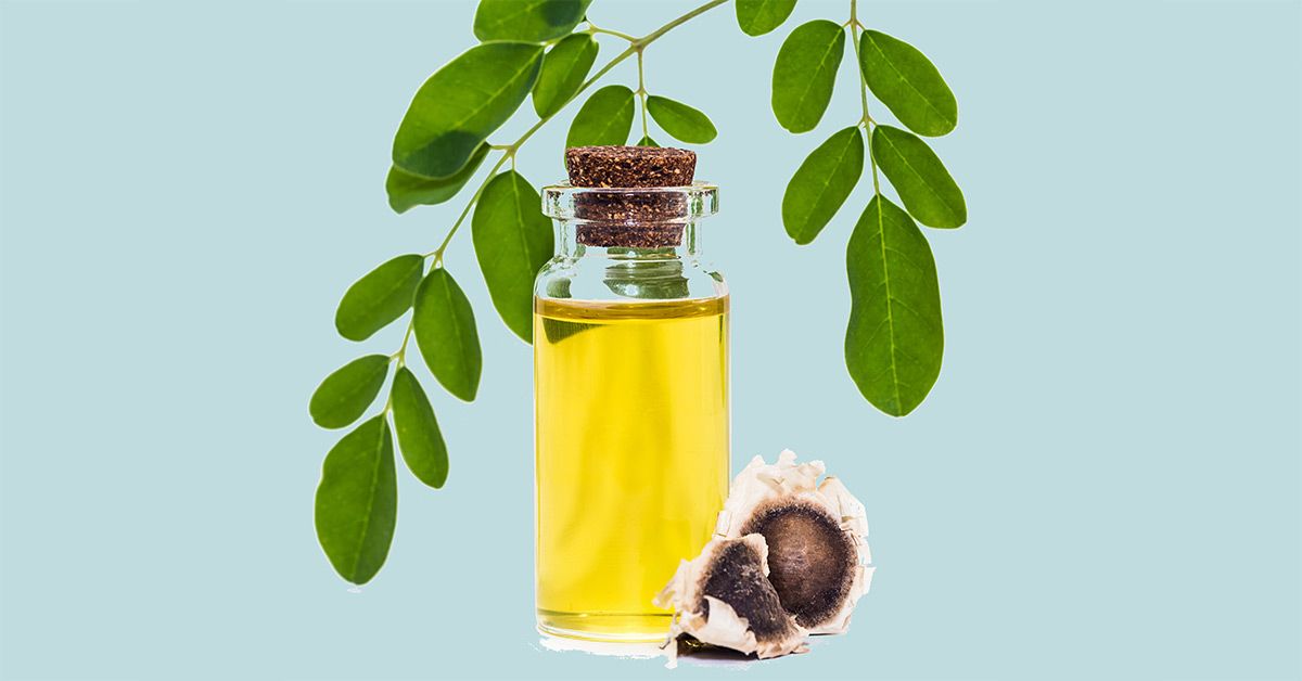 Moringa Oil Uses and Benefits