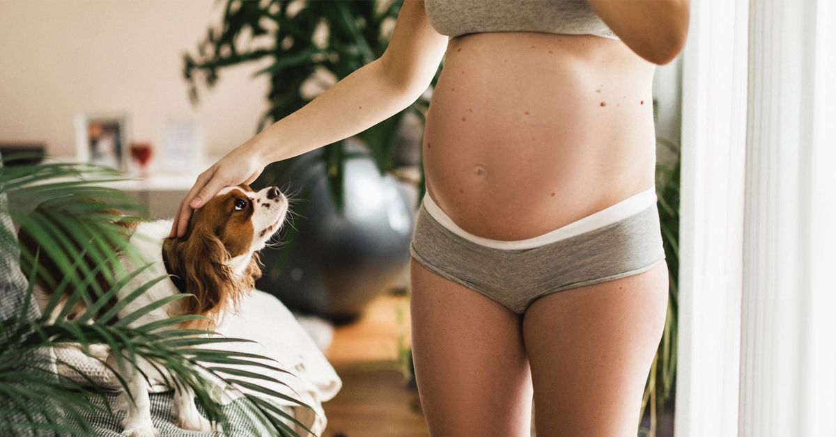 Bloat or Pregnant? Here's How to Tell