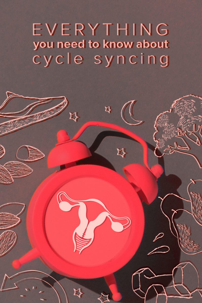 Cycle Sync Journal  Cycle Sync Your Life