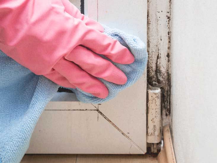 Black Mold Symptoms - How To Get Rid Of Black Mold