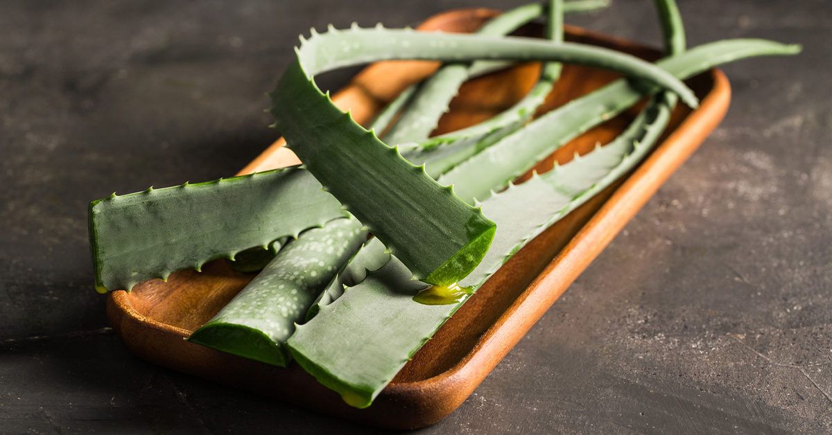 7 Amazing Uses for Aloe Vera