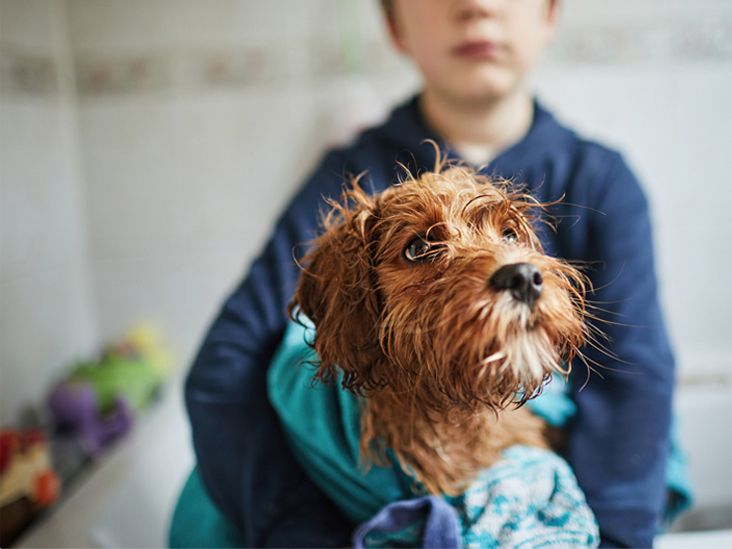 Ear Mites in Humans Causes, Treatments, and More