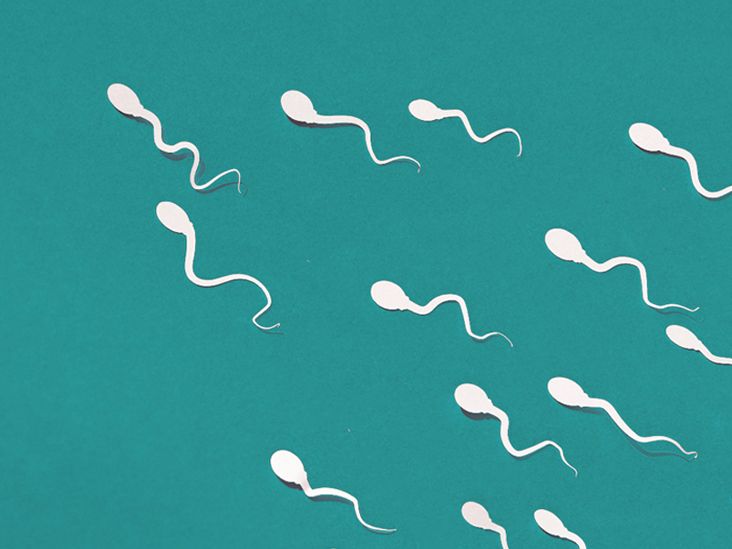 Low Sperm Count Causes Signs Treatment Pregnancy Chances