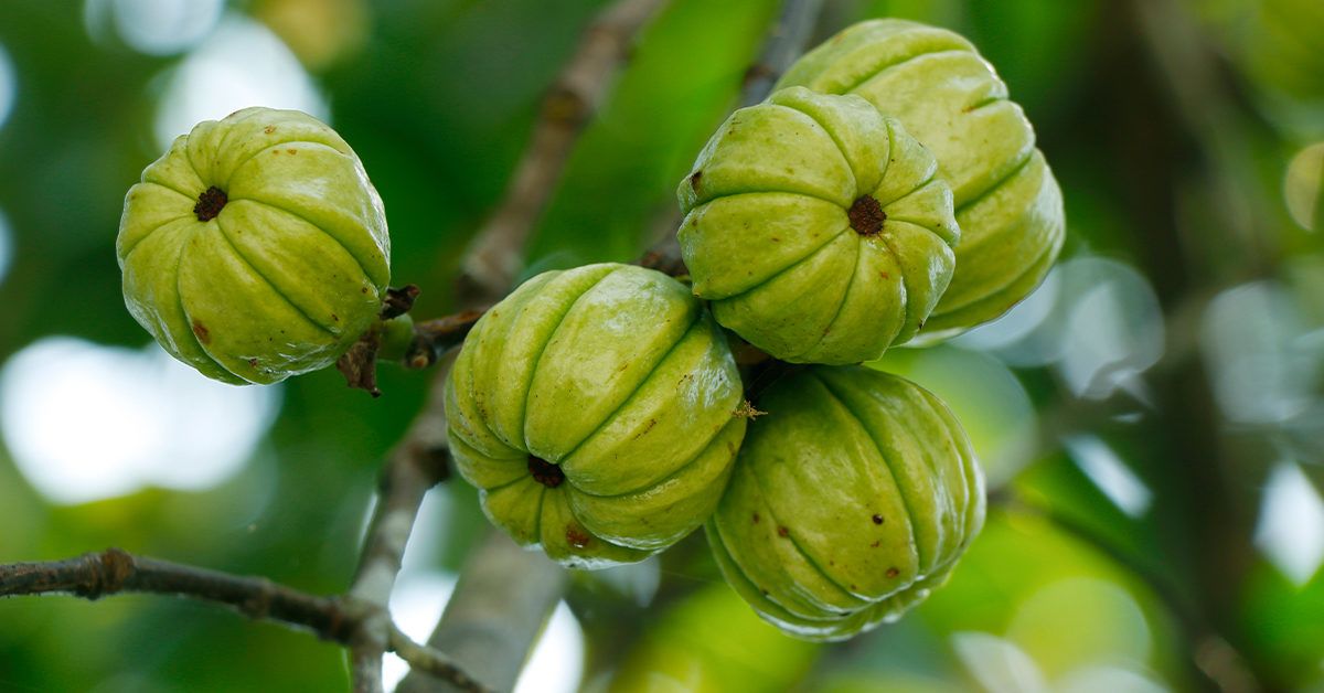 Garcinia cambogia for skin health