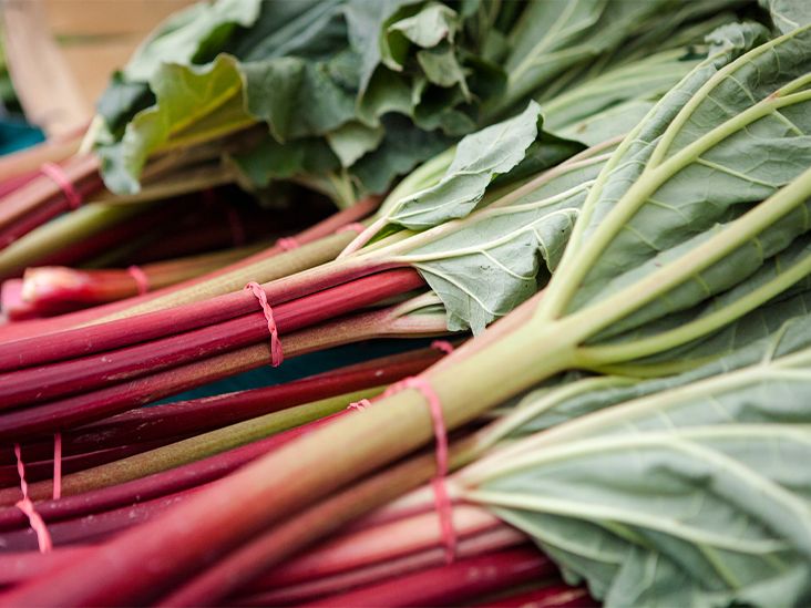 Are Rhubarb Leaves Poisonous?