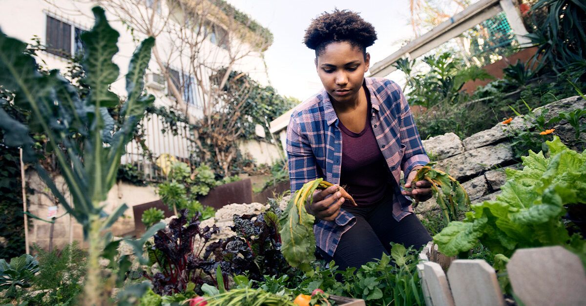 How to Be an Ethical Omnivore