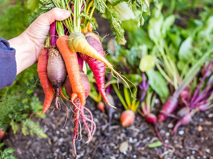 Best Vegetables to Eat If You Have Ulcerative Colitis