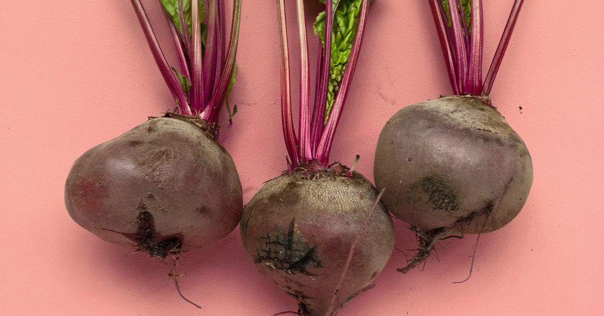 Usefulness of outlet beetroot