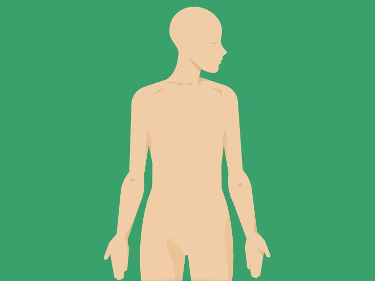 Male And Female Body Front And Back View. Blank Human Body