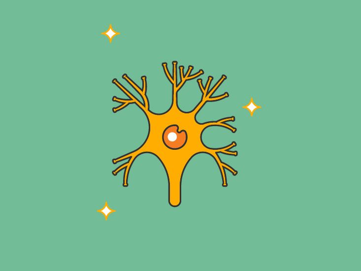 Abducens nerve function, anatomy & diagram | body maps