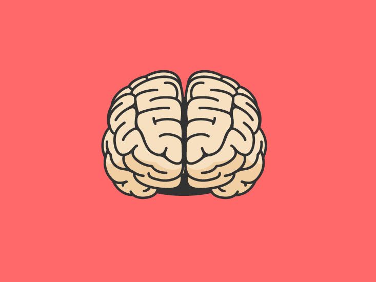 Optic Chiasm Function, Anatomy & Definition Body Maps