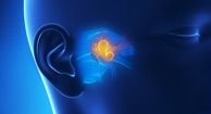 Foreign Objects in the Body: Symptoms and Treatment Options