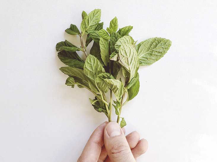 What are the health benefits of spearmint?