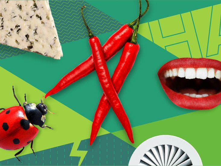 My Weirdest Asthma Triggers