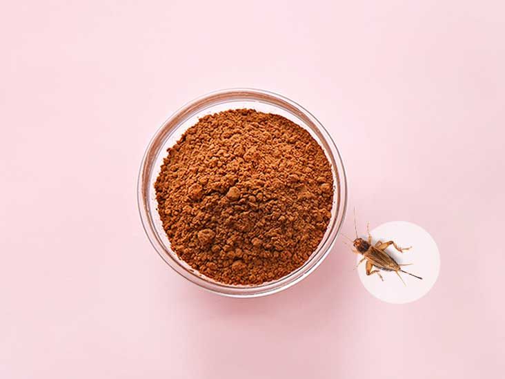 Cricket Flour Protein Count, Nutrients, Taste, and Recipes