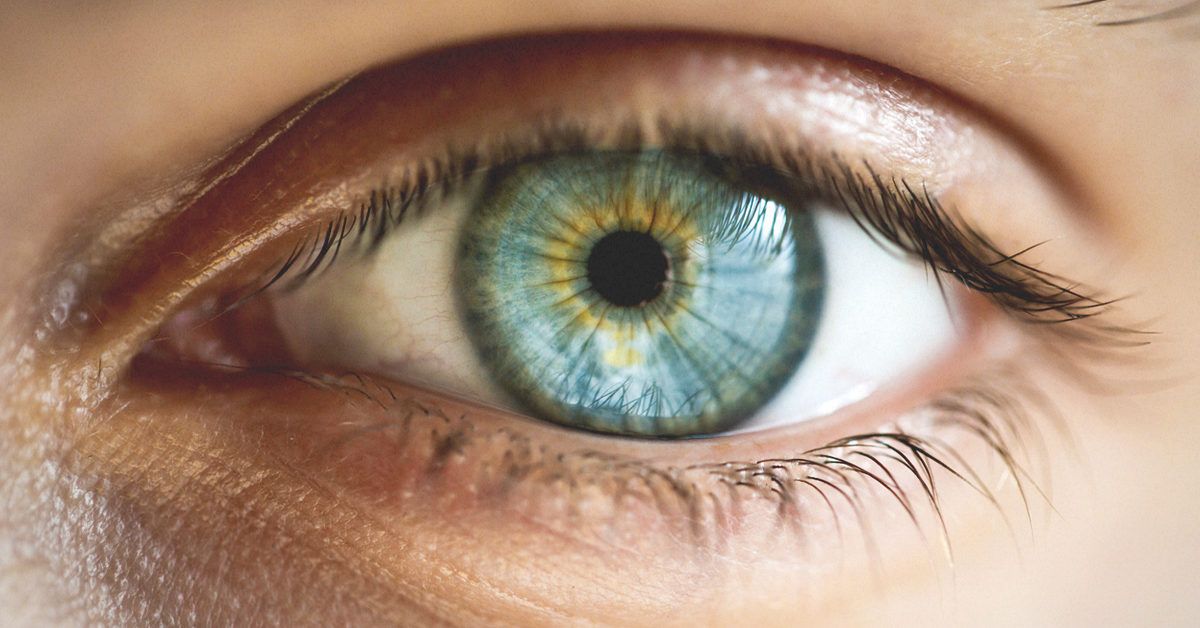 Hazel eye facts 👀💚💛🤎 Do you have hazel eyes? How does your eye col... |  Purple Eyes | TikTok