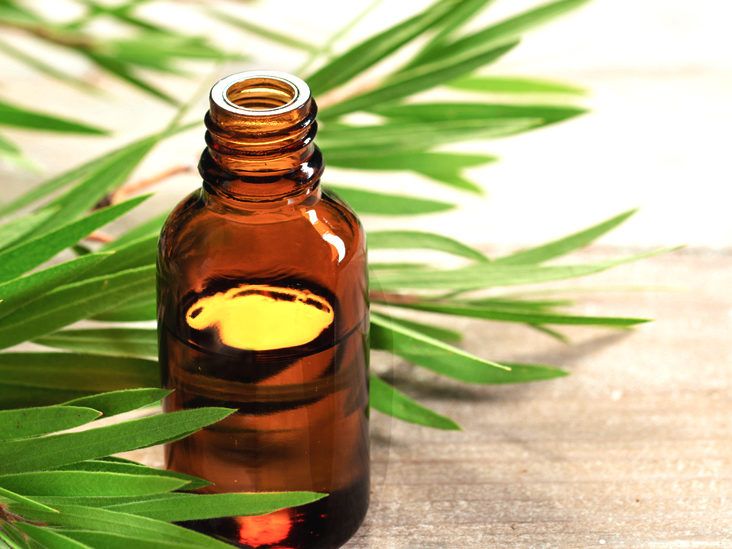 5 Benefits of Tea Tree Oil -- How to Use Tea Tree Oil