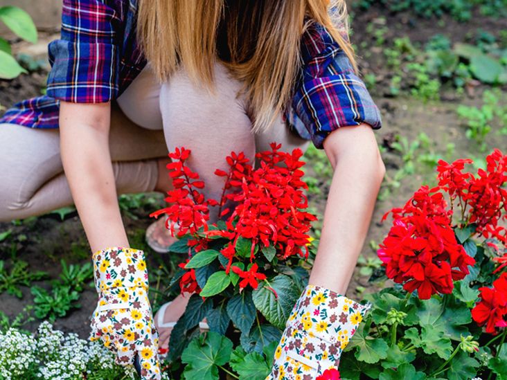 Do You Have a Rash from Hay Fever? Symptoms and Treatments