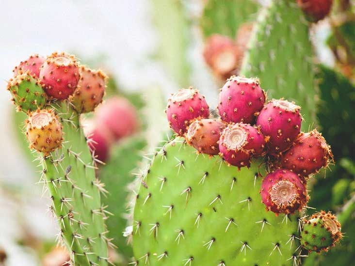 Tasty Tip Tuesday! Clean your cactus (nopales) by peeling around the edges  and scraping off spines and dark areas with a knife or vegetable peeler.  Use