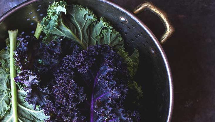 Kale Might Not Be As Good for You As You Think