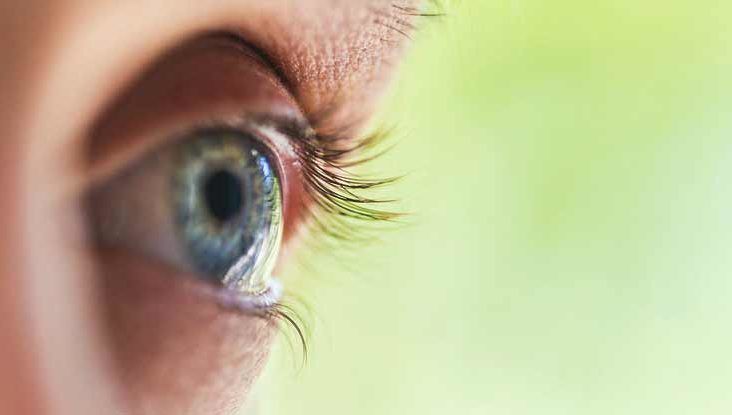 Double Eyelashes (Distichiasis): Causes and Treatment
