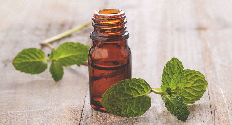 peppermint oil deterring spiders naturally